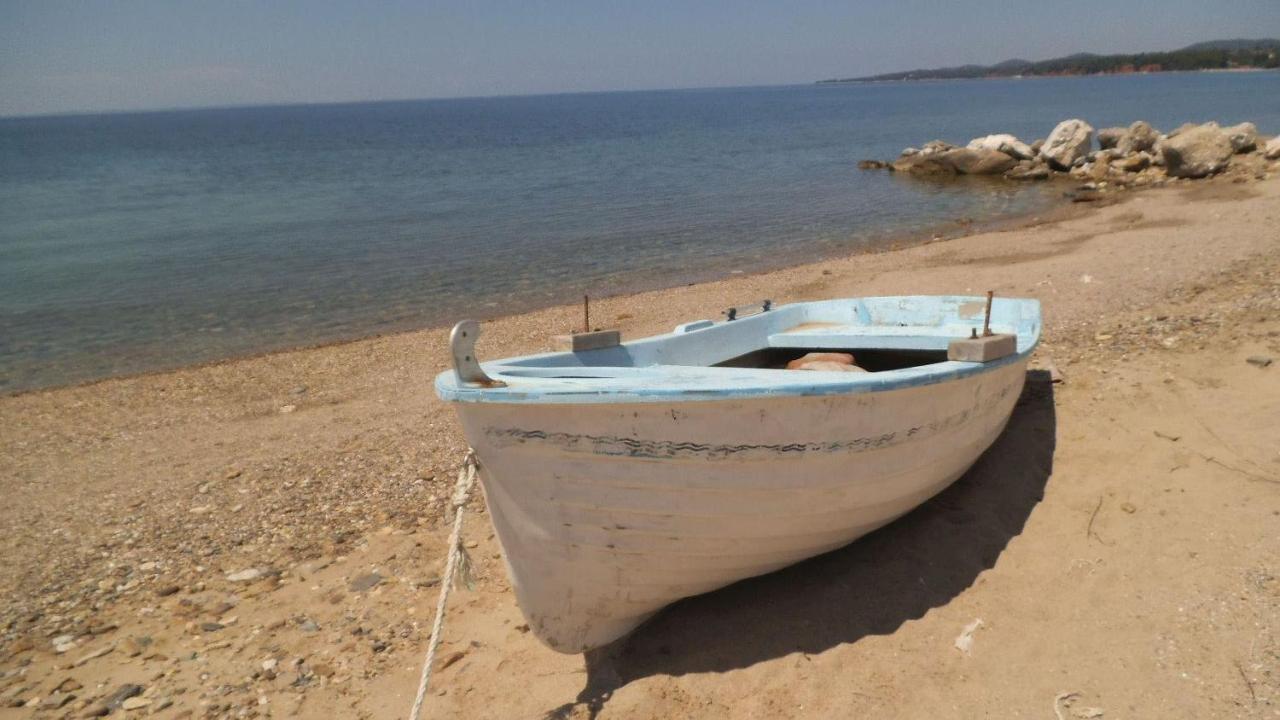 Finikas Garden Beach Resort Nikiti 外观 照片